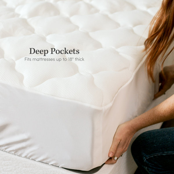 Alwyn Home Extra Plush Rayon from Bamboo Mattress Pad & Reviews Wayfair